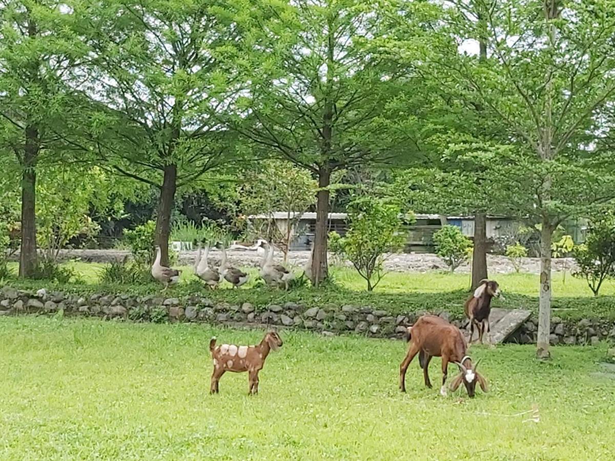 Meihua Lake Leisure Farm Dongshan  Exteriér fotografie